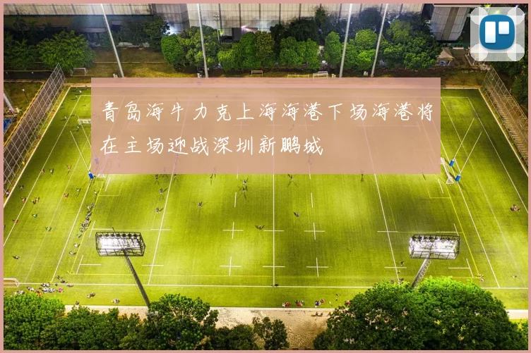 青岛海牛力克上海海港下场海港将在主场迎战深圳新鹏城