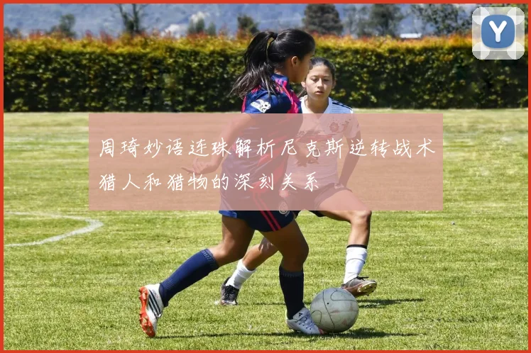 周琦妙语连珠解析尼克斯逆转战术猎人和猎物的深刻关系